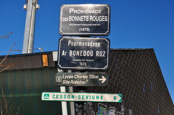 2014.03.09 Bonnets Rouges Walk In Rennes